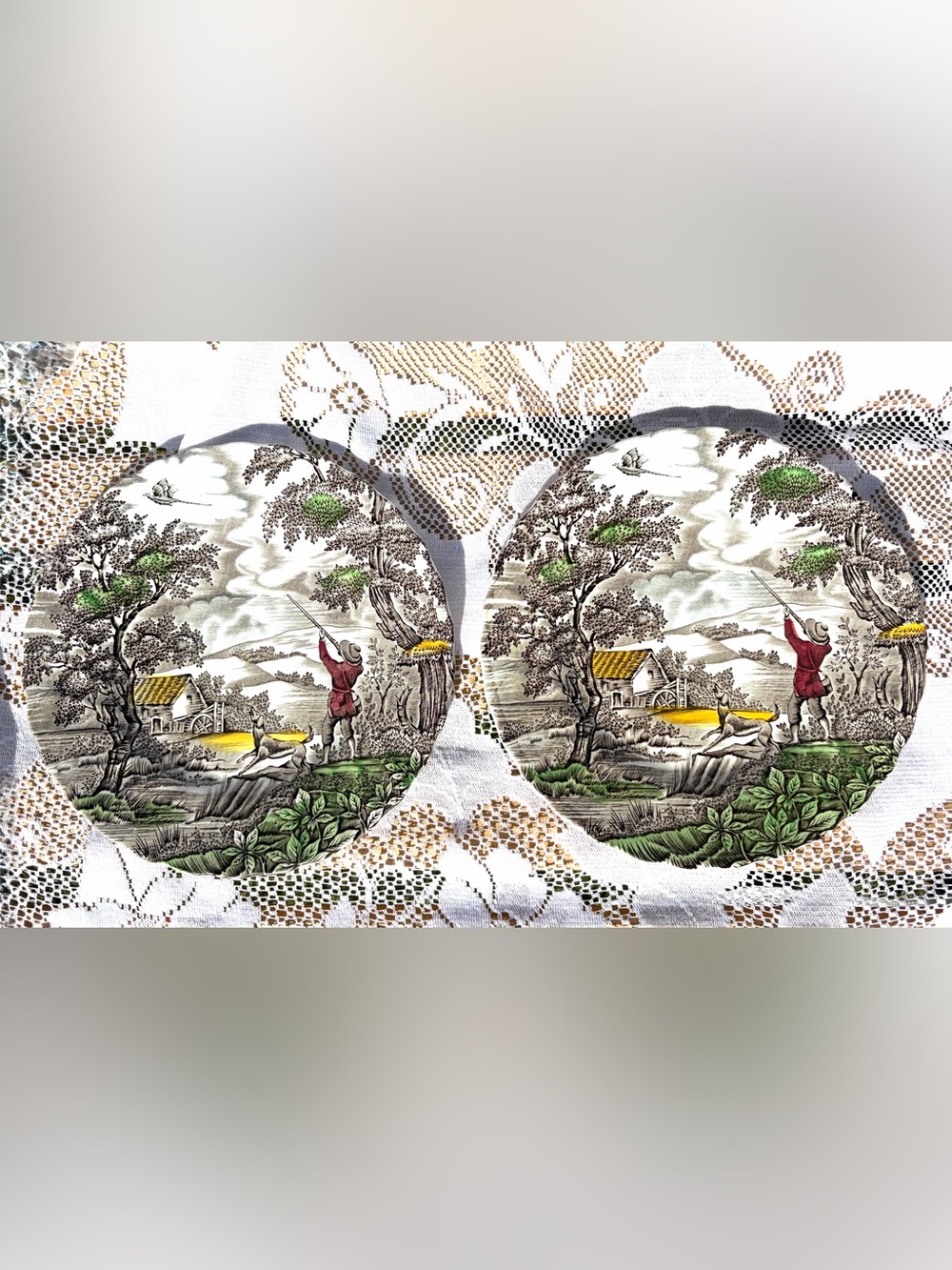 ✨Vintage Myott “The Hunter” Transferware Plates 💛Set of 2 Staffordshire England